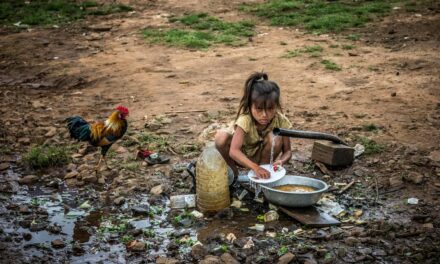 Desigualdade estrutural e heranças coloniais: por que o passado ainda molda o presente