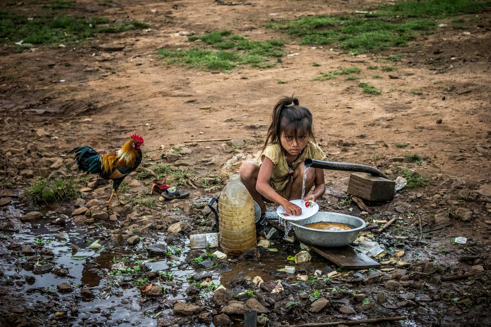 Foto: (c) Pexels, Suraphat Nuea-on