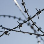 Fronteiras cada vez mais fechadas: segurança ou violação de direitos?