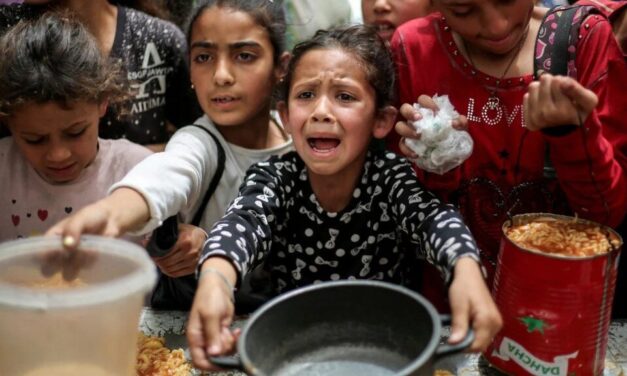 Dia Mundial da Alimentação: a fome não é falta de comida, é falta de acesso