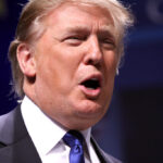 Donald Trump: da Trump Tower à Casa Branca, a trajetória do 47º presidente dos EUA