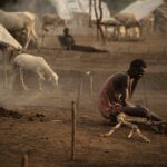 Sudão: a “guerra esquecida” e o colapso da diplomacia no Chifre da África